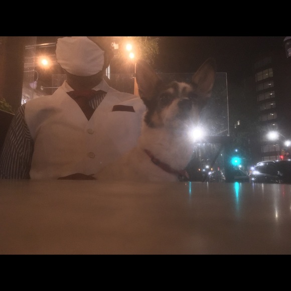 Meet your Posher,TheSteve - Picture 1 of 1